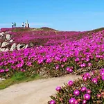 度假居 La Casita De Suances - A 5 Min De La Playa Ideal Familias Y Mascotas *