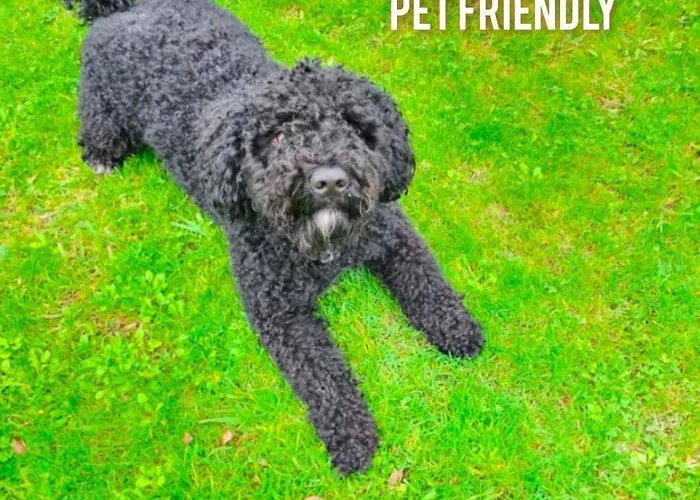 Holiday home La Casita De 1 *