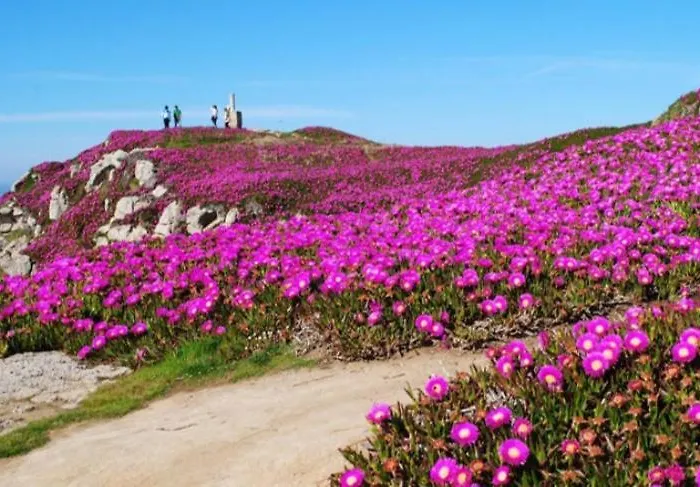 Holiday home La Casita De 1 *