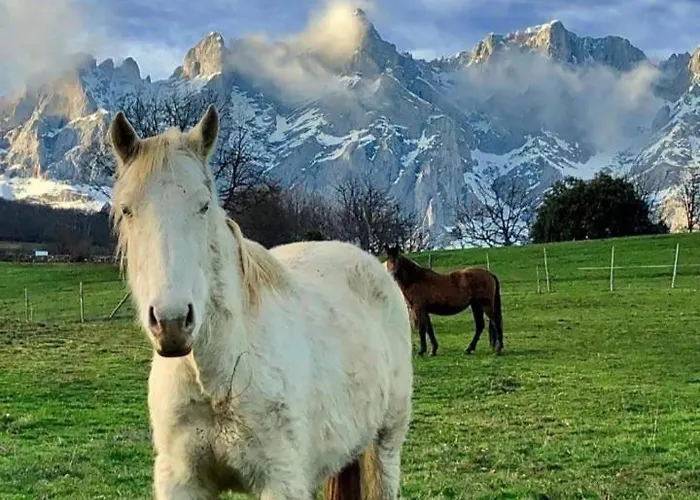 Holiday home La Casita De 1 *